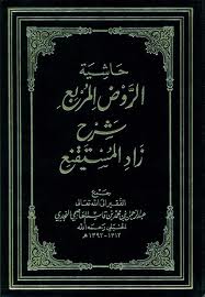 حاشية الروض المربع شرح زاد المستقنع - المجلد الثاني